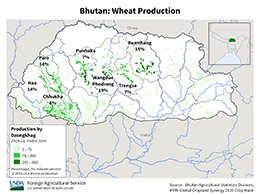 images\BT\cropprod\Bhutan_Wheat_preview.png